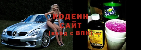 сатива Ельня