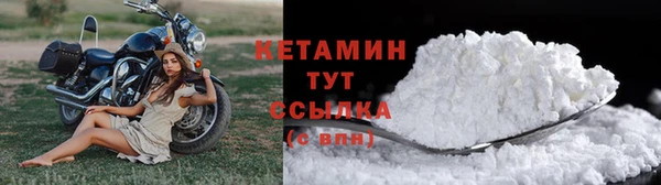 сатива Ельня