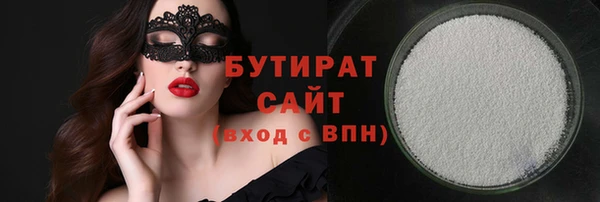 сатива Ельня
