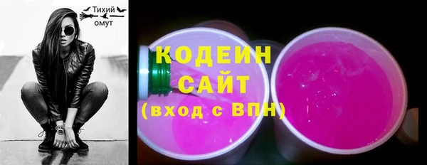 сатива Ельня