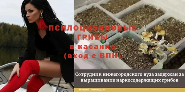 каннабис Заводоуковск