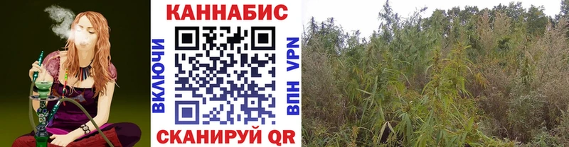 Шишки марихуана Amnesia  Купить  Облучье 